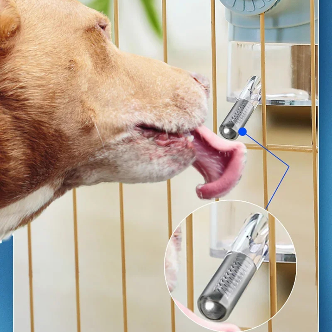 Automatischer hängender Wasserspender für Haustiere – Hygienisch und einfach zu befüllen