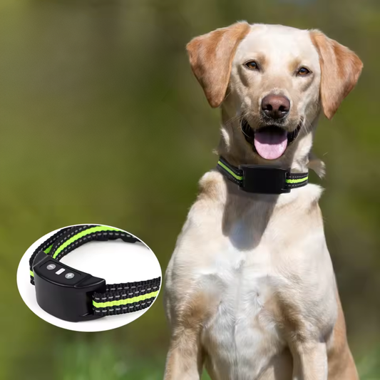 Automatisches Anti-Bell-Halsband – Hunde-Training mit Ton & elektrischem Impuls