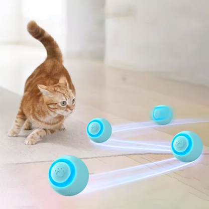 Bewegungsaktiver LED-Spielball – Energieabbau & Spaß für Katzen & kleine Hunde