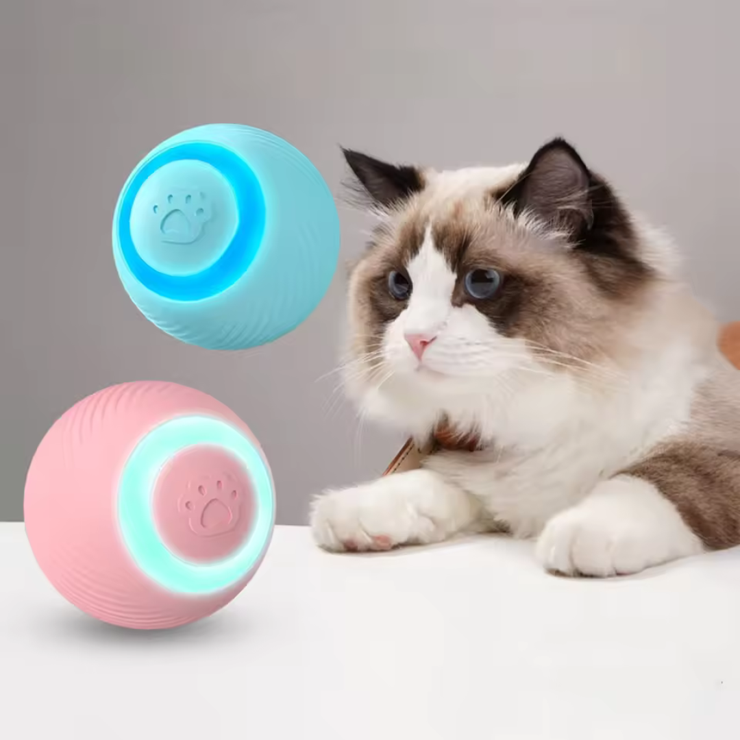 Bewegungsaktiver LED-Spielball – Energieabbau & Spaß für Katzen & kleine Hunde