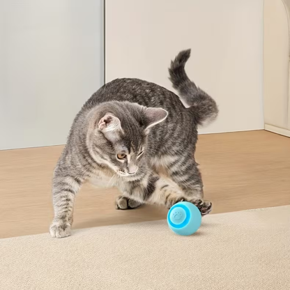 Bewegungsaktiver LED-Spielball – Energieabbau & Spaß für Katzen & kleine Hunde