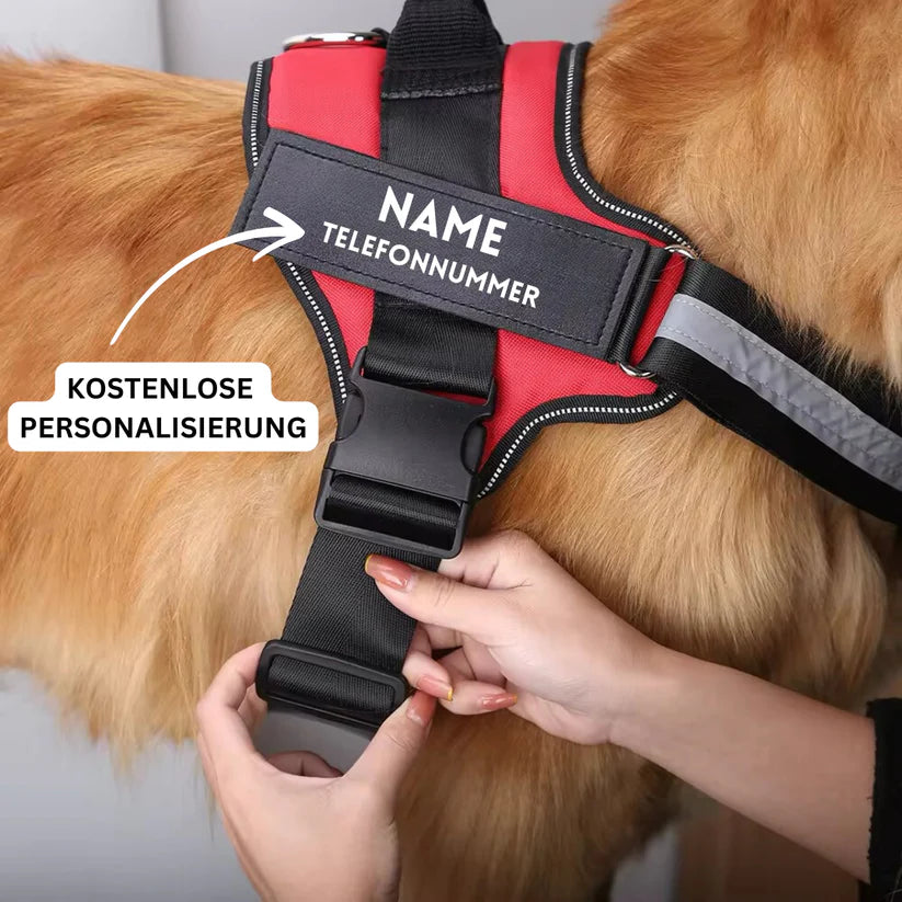 Personalisierbares Hundegeschirr mit Griff & Reflexstreifen