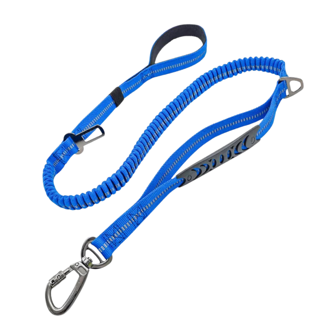 Stoßdämpfende Premium Hundeleine Blau