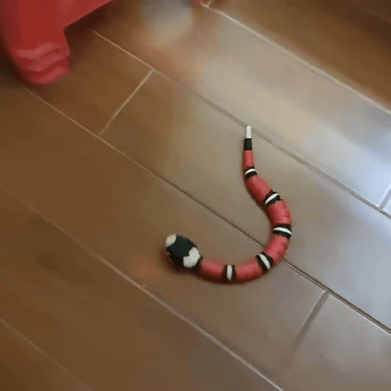 Elektrisches Schlangenspielzeug – Spannender Spaß für Haustiere 🐍 - Fluffy Adventures Haustiershop Default Title Mein Shop Haustierspielzeug Elektrisches Schlangenspielzeug – Spannender Spaß für Haustiere 🐍 Haustierspielzeug Mein Shop Default Title Fluffy Adventures Haustiershop