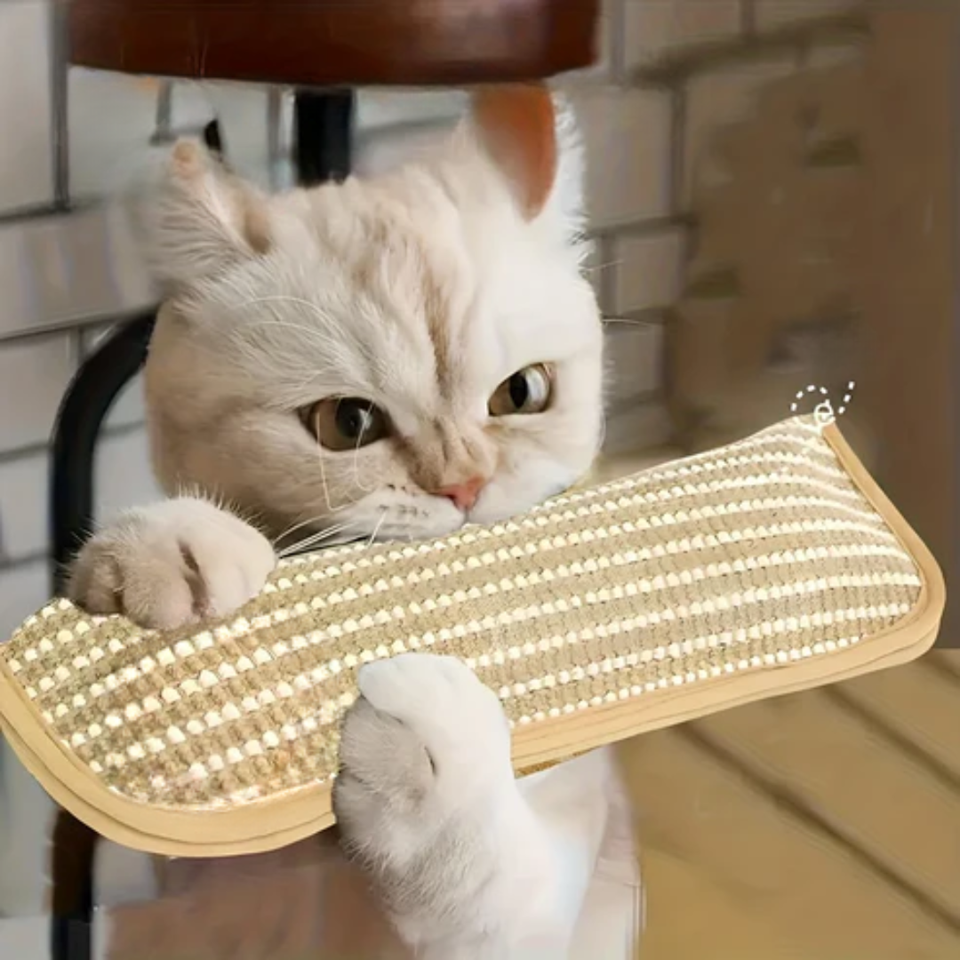 Catnip Kratzkissen – langlebiges Katzenspielzeug mit Suchtfaktor