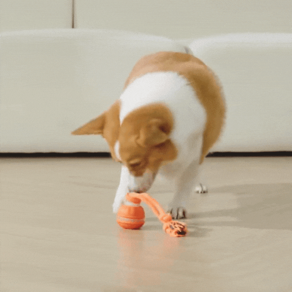 Rollvergnügen Ball – Interaktiver Spielspaß für Ihr Haustier! - Fluffy Adventures Haustiershop Default Title Mein Shop Hunde Spielzeug Rollvergnügen Ball – Interaktiver Spielspaß für Ihr Haustier! Hunde Spielzeug Mein Shop Default Title Fluffy Adventures Haustiershop