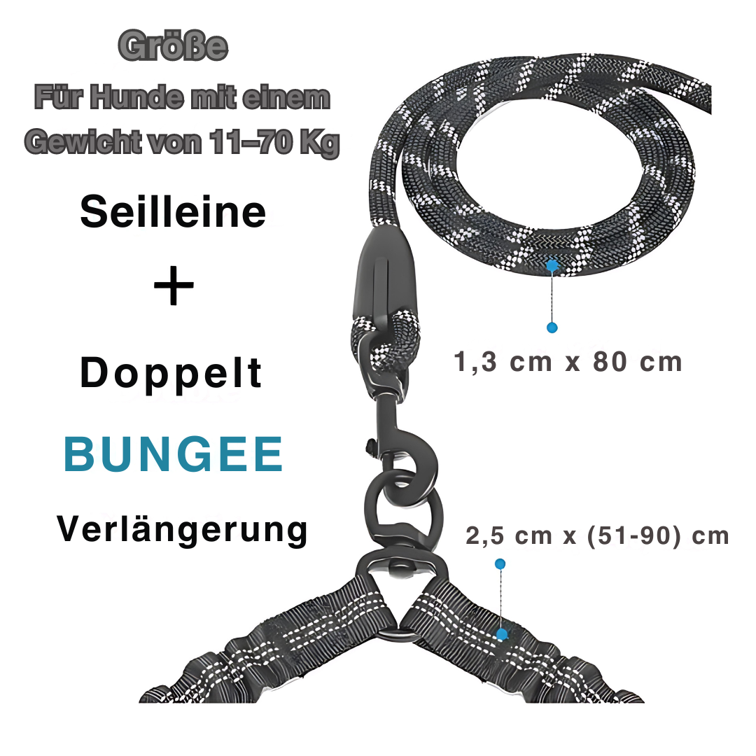 Doppelte Hundeleine für entspanntes Gassi