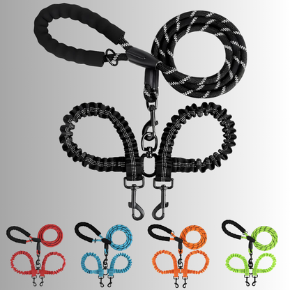 Doppelte Hundeleine – Entspanntes Gassi gehen mit zwei Hunden