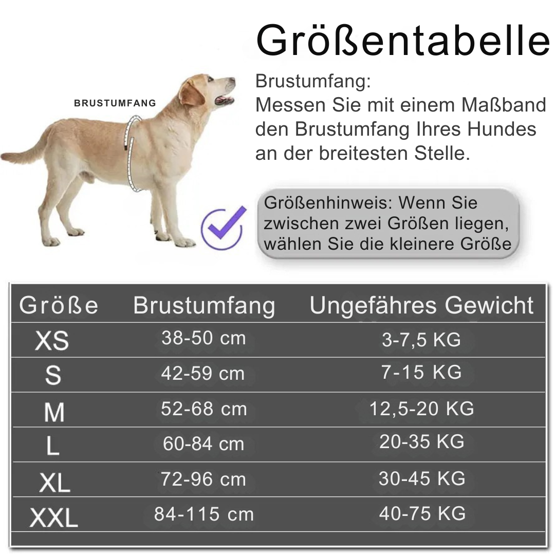 Personalisierbares Hundegeschirr mit Griff & Reflexstreifen