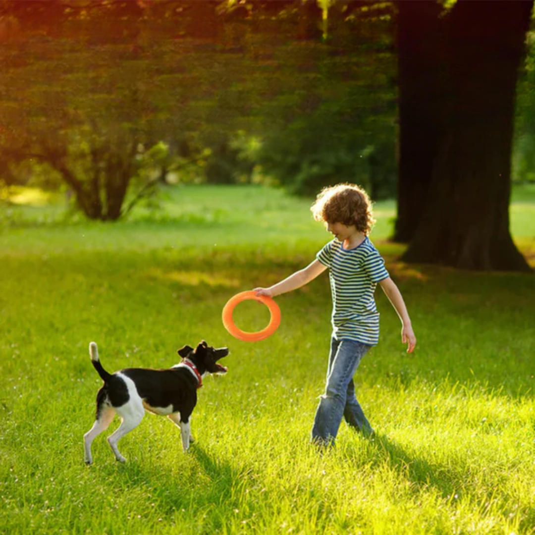 EVA Hunde-Trainingsring – schwimmend, fliegend, ultra robust