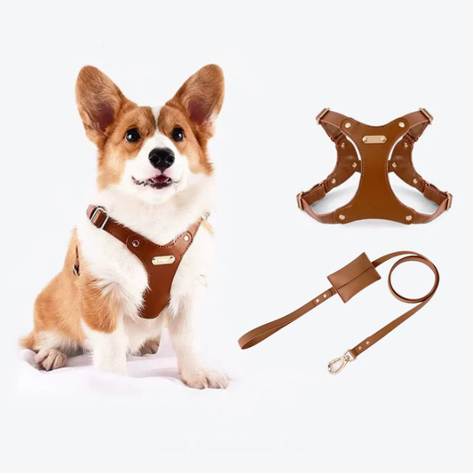 Verstellbares Leder-Hundegeschirr mit individueller Gravur