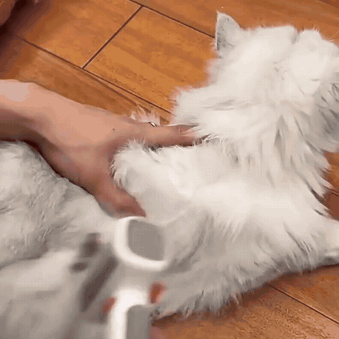 2-in-1 Entfilzungskamm für Hunde & Katzen