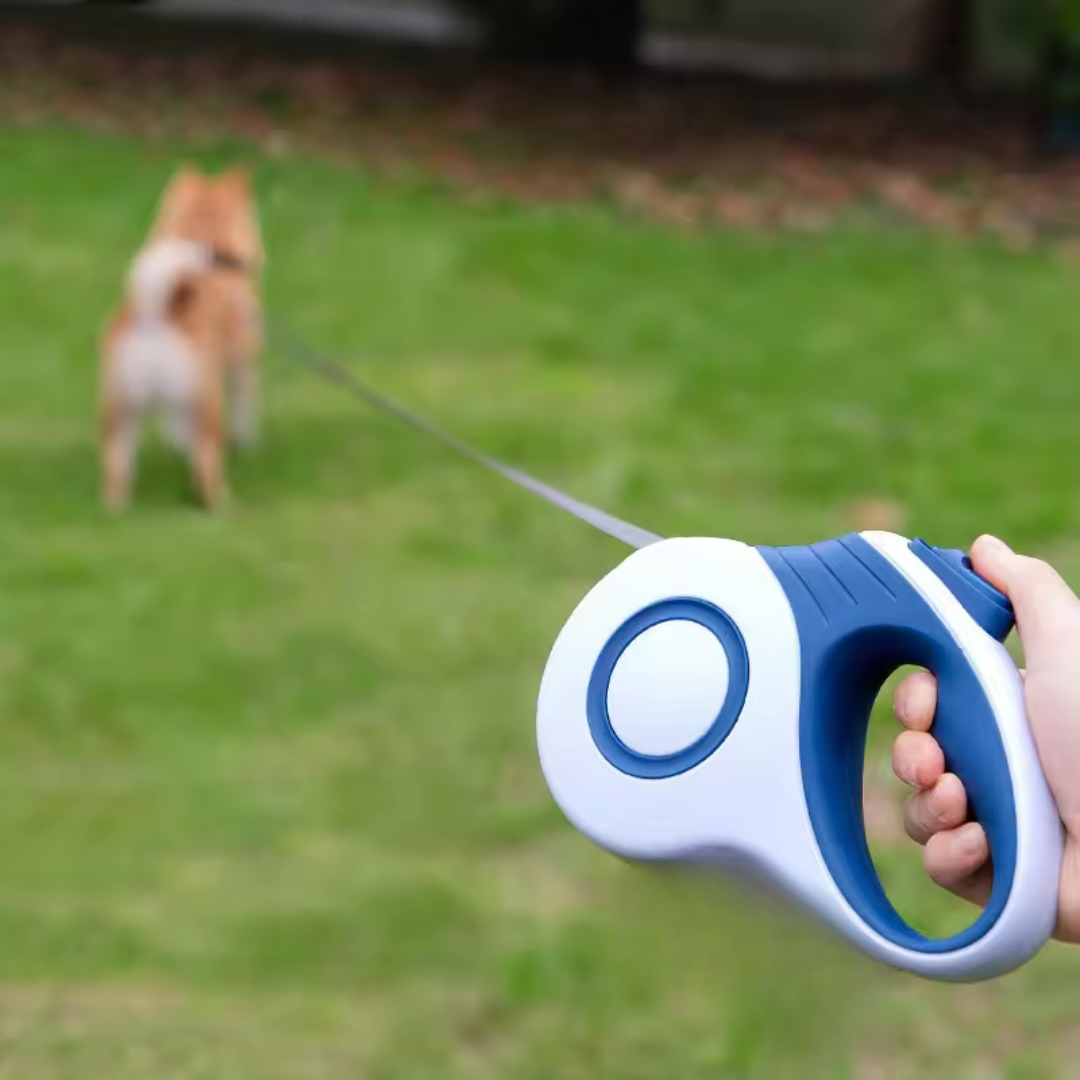 Premium Rollleine für Hunde mit Einzugsautomatik