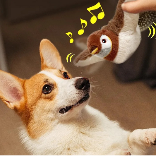 Flattervogel – für neugierige Hunde 🐦‍⬛🐶