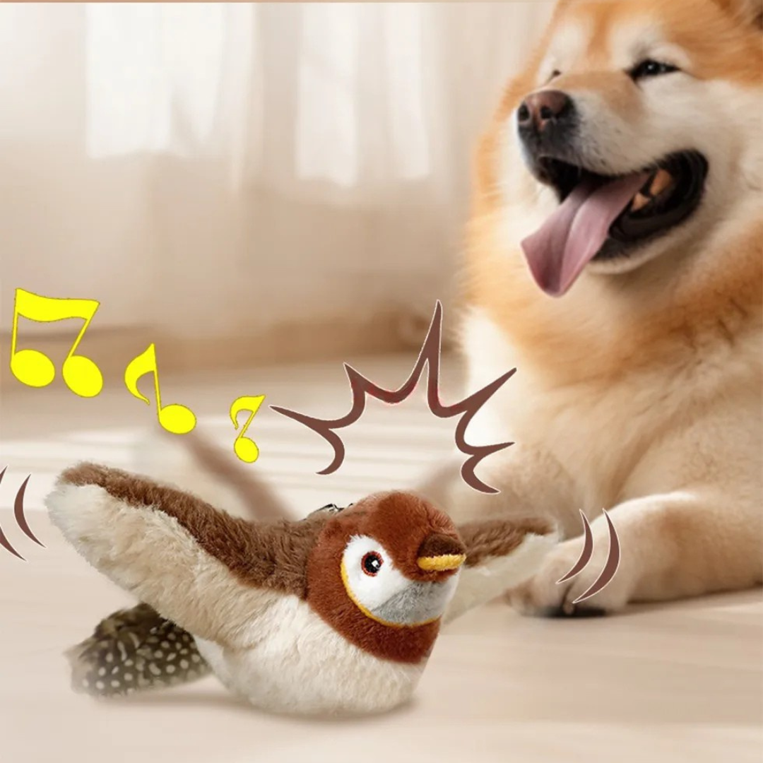 Flattervogel – für neugierige Hunde 🐦‍⬛🐶