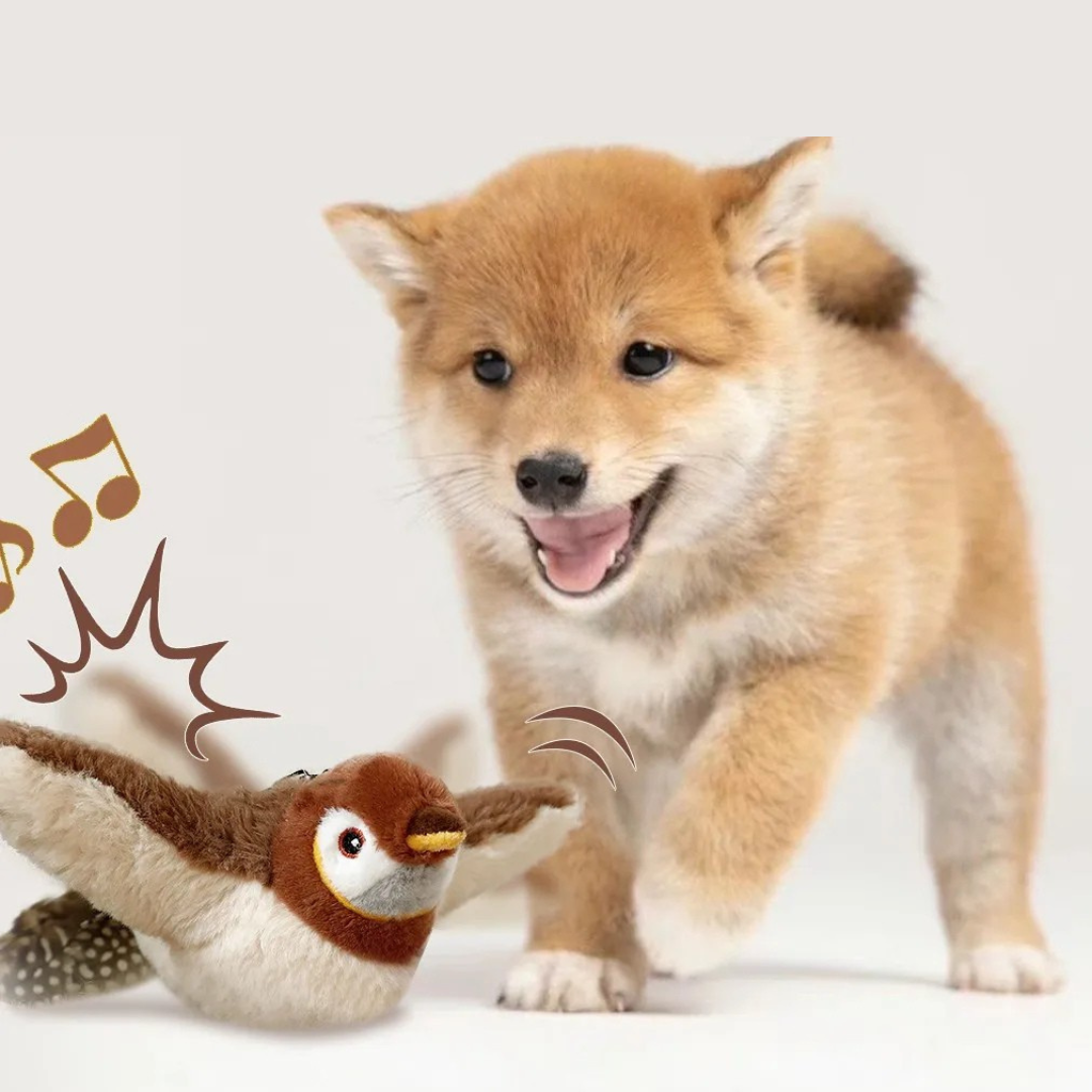 Flattervogel – für neugierige Hunde 🐦‍⬛🐶