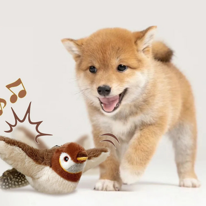 Flattervogel – für neugierige Hunde 🐦‍⬛🐶