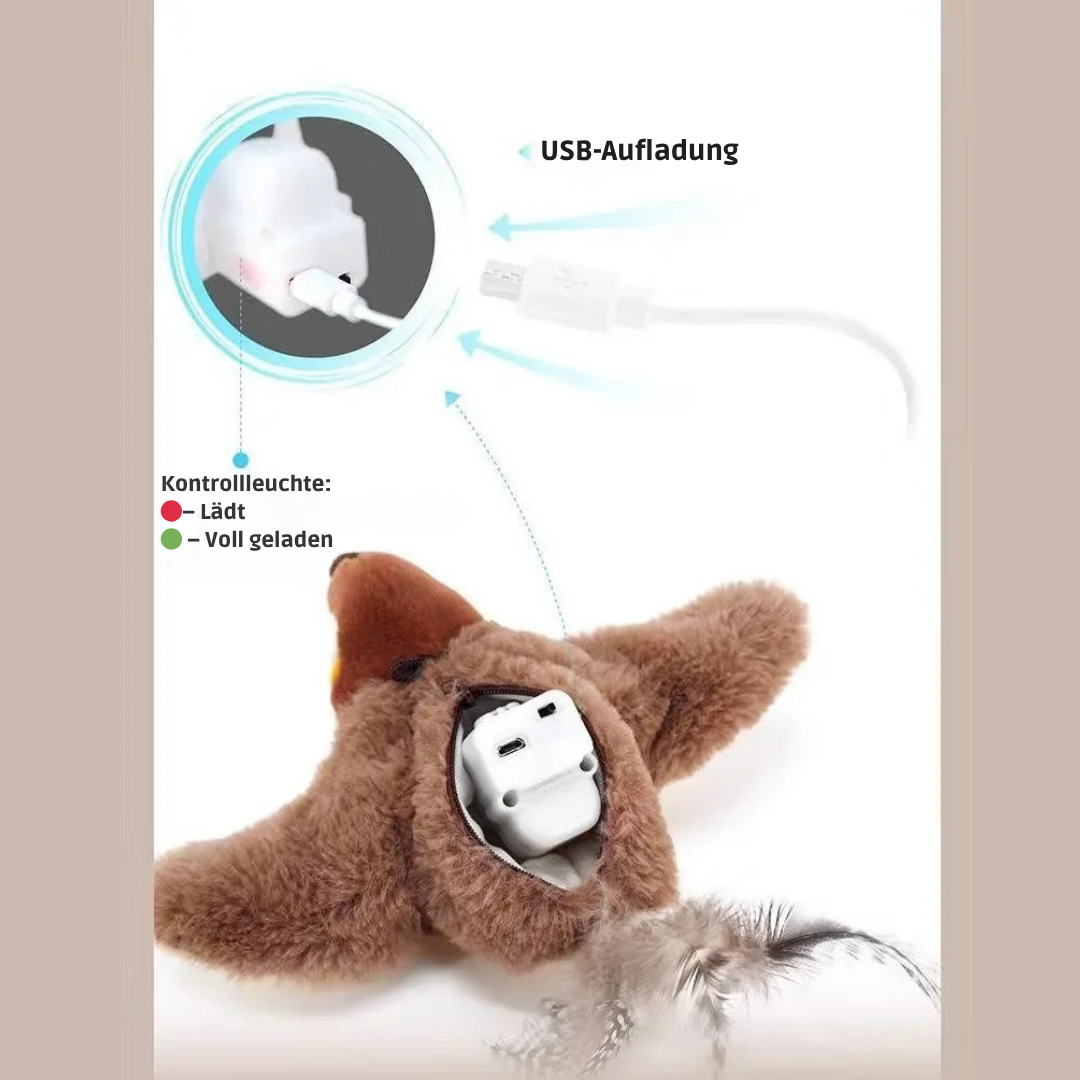 Flattervogel – für neugierige Hunde 🐦‍⬛🐶