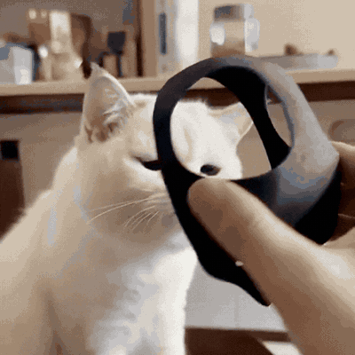 Fledermaus-Katzenmaske für Halloween