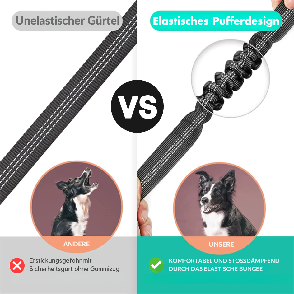 Flexibler Auto-Sicherheitsgurt für Hunde & Katzen