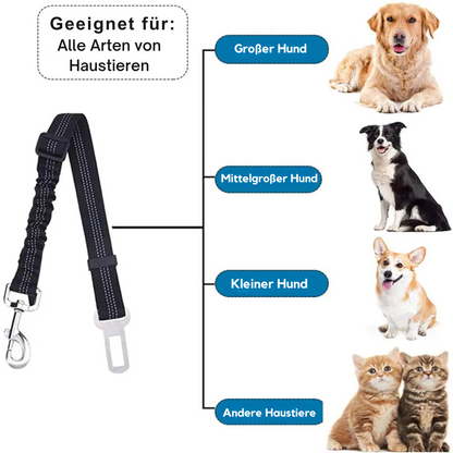 Flexibler Auto-Sicherheitsgurt für Hunde & Katzen