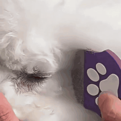 Flohkamm für Hunde & Katzen mit gebogenen Zinken
