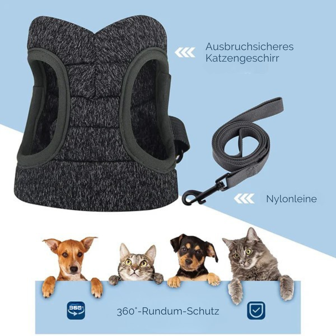 Flucht­sicheres Katzen­geschirr – Komfortabel & Praktisch für Spaziergänge