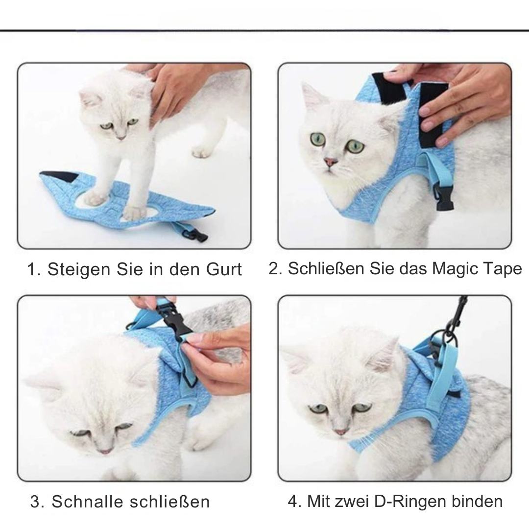 Flucht­sicheres Katzen­geschirr – Komfortabel & Praktisch für Spaziergänge