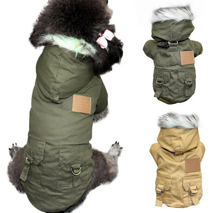 Winter Hundejacke mit Kapuze – Warm & stylisch für kleine Hunde