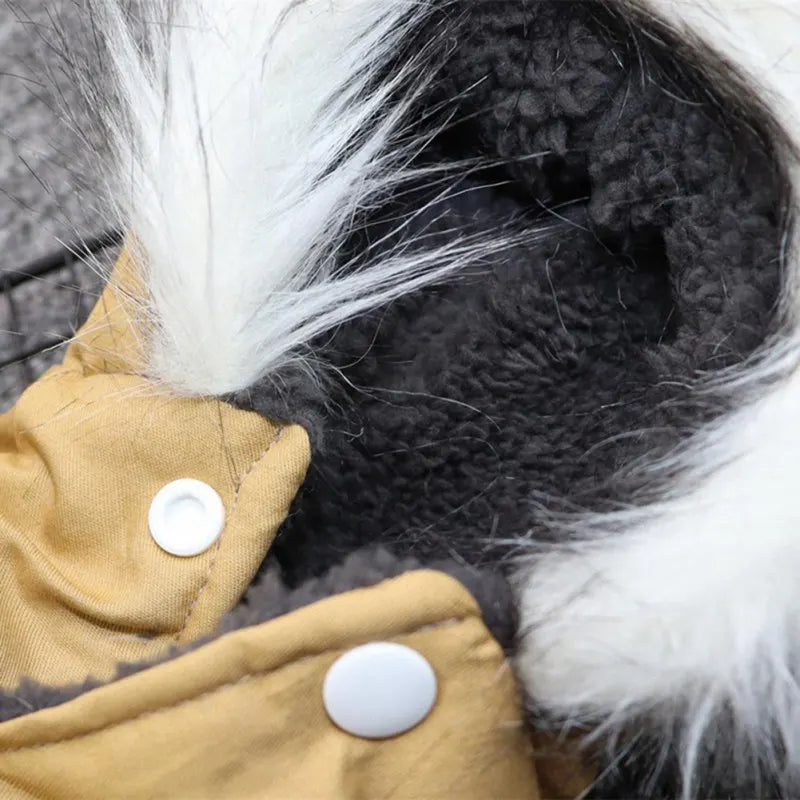 Winter Hundejacke mit Kapuze – Warm & stylisch für kleine Hunde