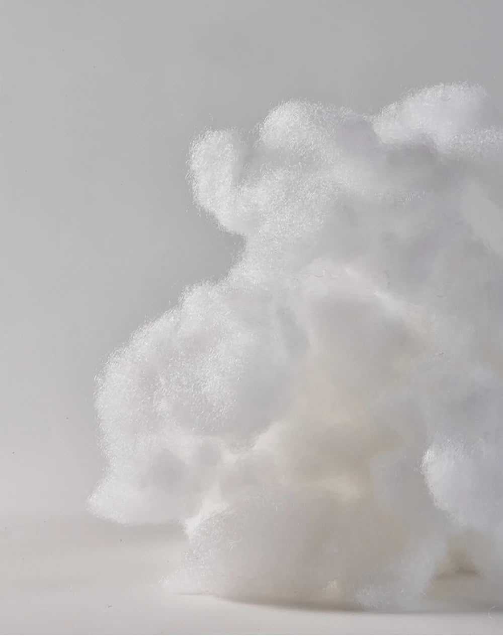 Kuschelige Haifisch-Höhle für Katzen & kleine Hunde – Rutschfest , Weich & Warm