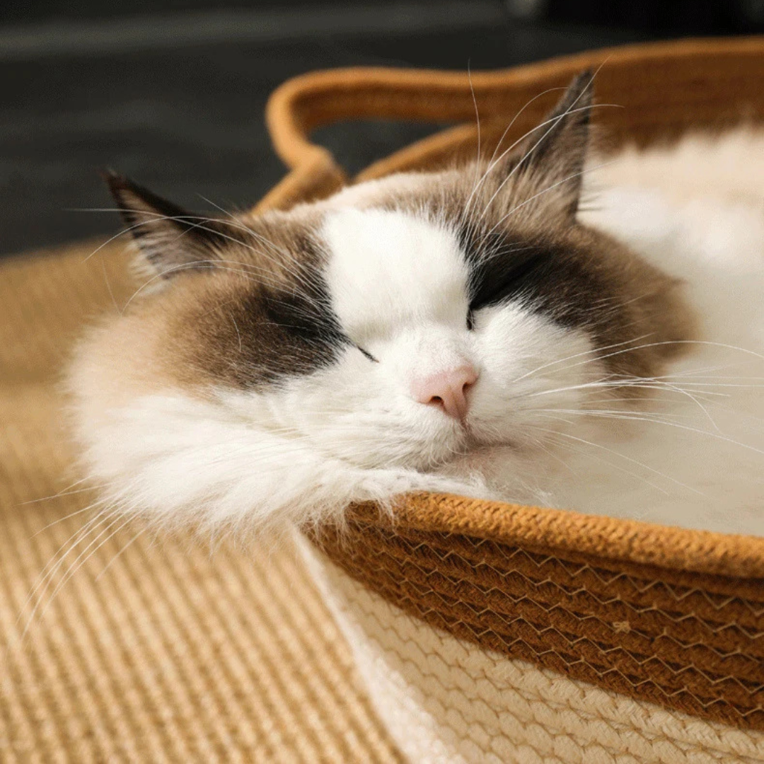 Handgeflochtenes Katzenbett aus Baumwolle – natürlich & gemütlich