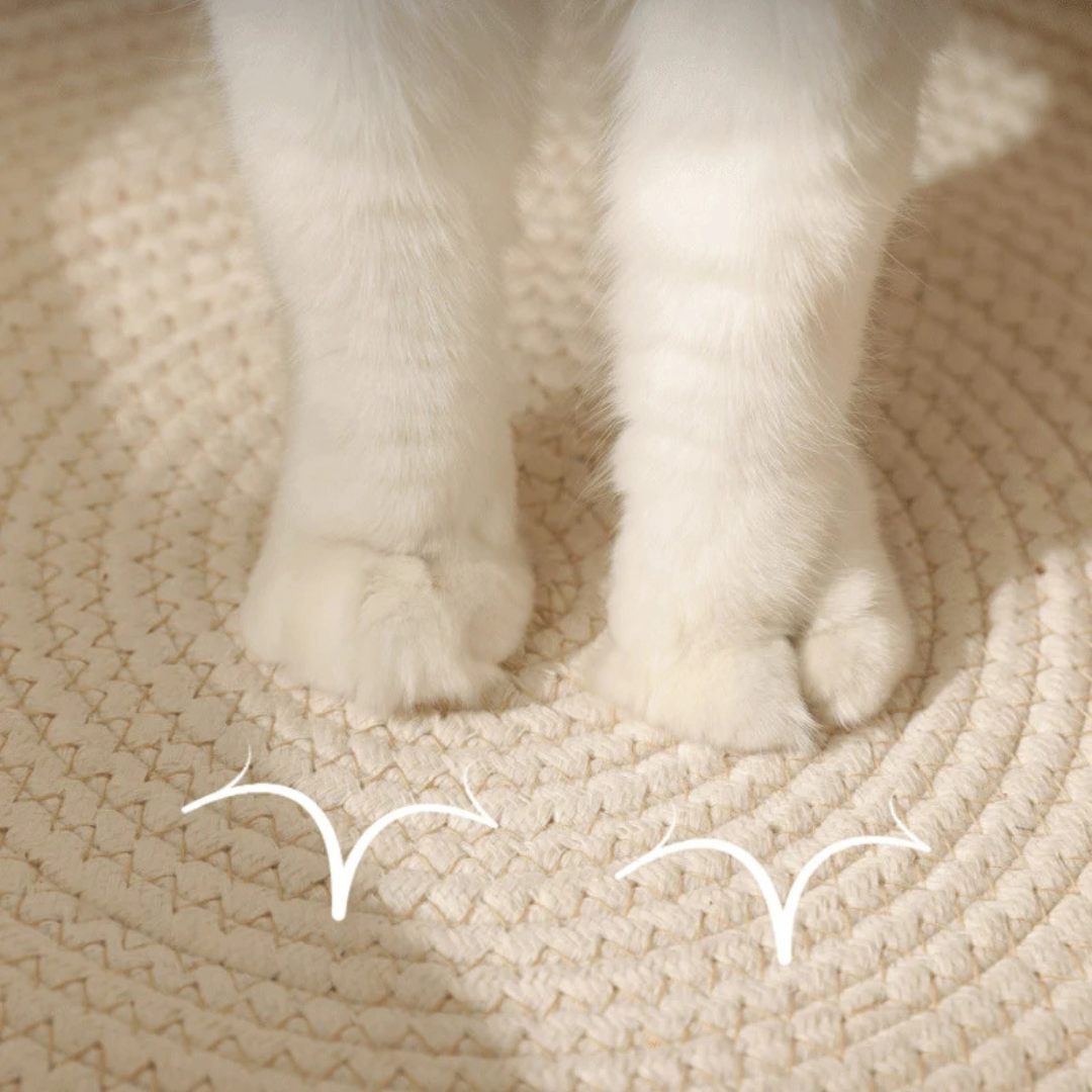 Handgeflochtenes Katzenbett aus Baumwolle – natürlich & gemütlich