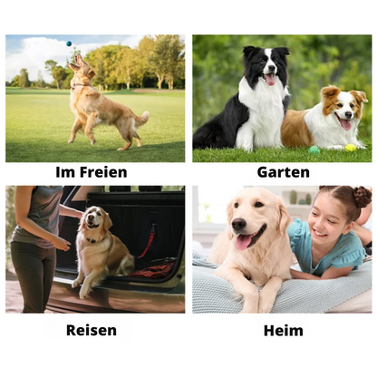 Handschuh-Reinigungstücher für Haustiere – Sauber ohne Wasser!