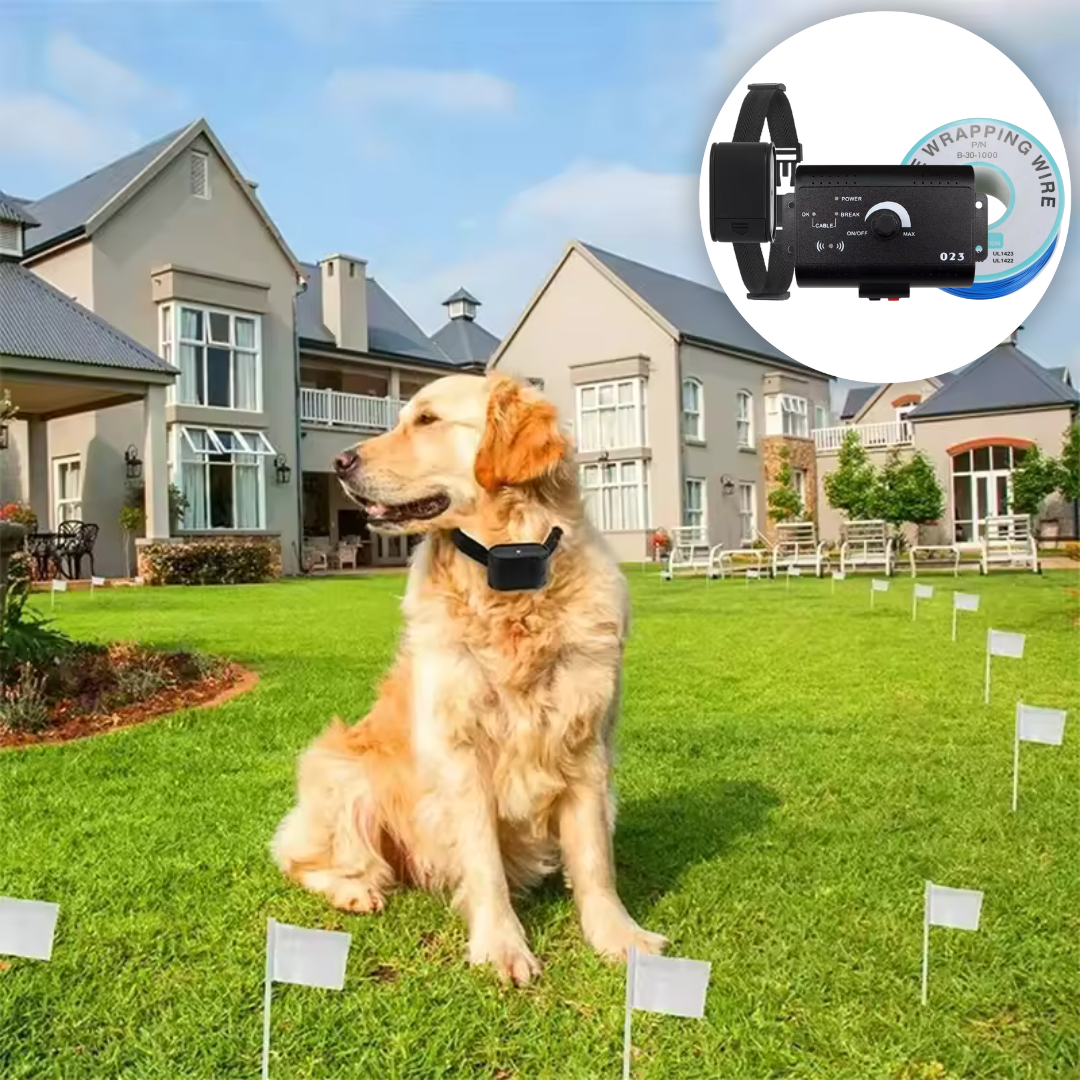 Haustier-Schutzzaun – unsichtbar, sicher & wasserfest für Hunde