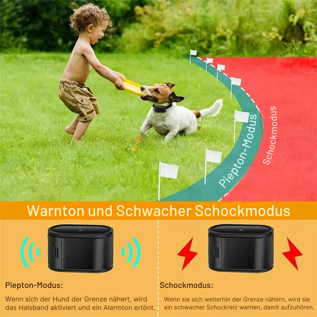 Haustier-Schutzzaun – unsichtbar, sicher & wasserfest für Hunde