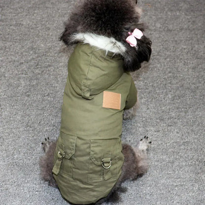 Winter Hundejacke mit Kapuze – Warm & stylisch für kleine Hunde