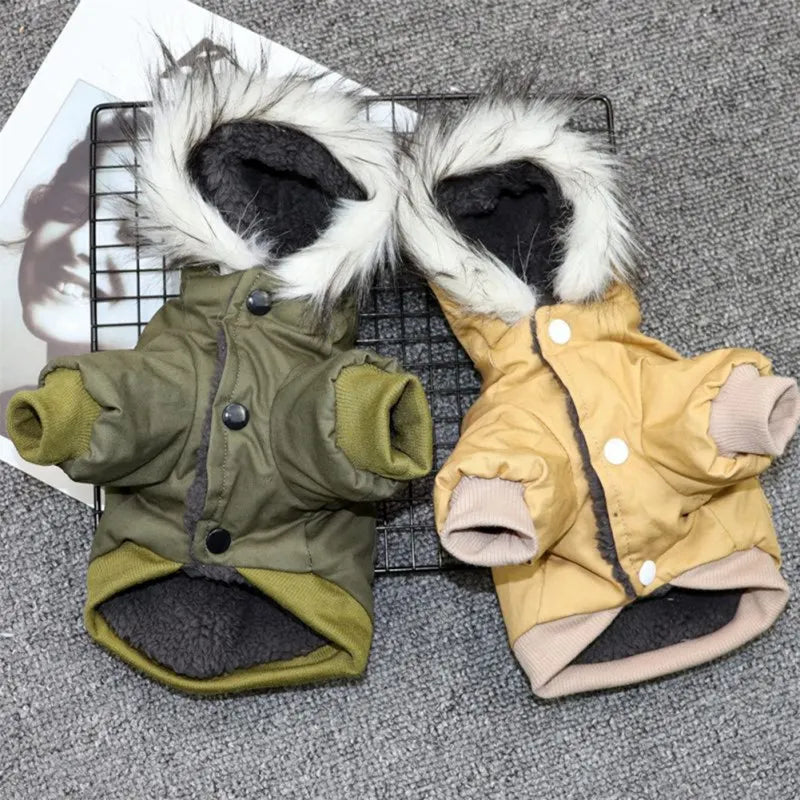 Winter Hundejacke mit Kapuze – Warm & stylisch für kleine Hunde