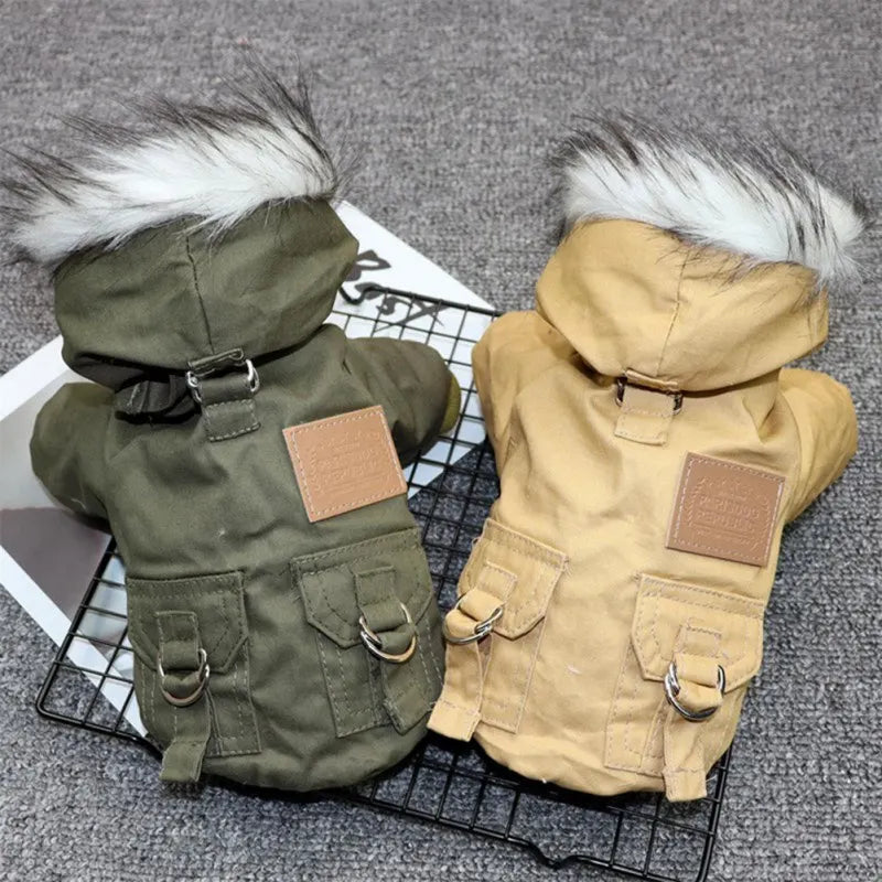 Winter Hundejacke mit Kapuze – Warm & stylisch für kleine Hunde