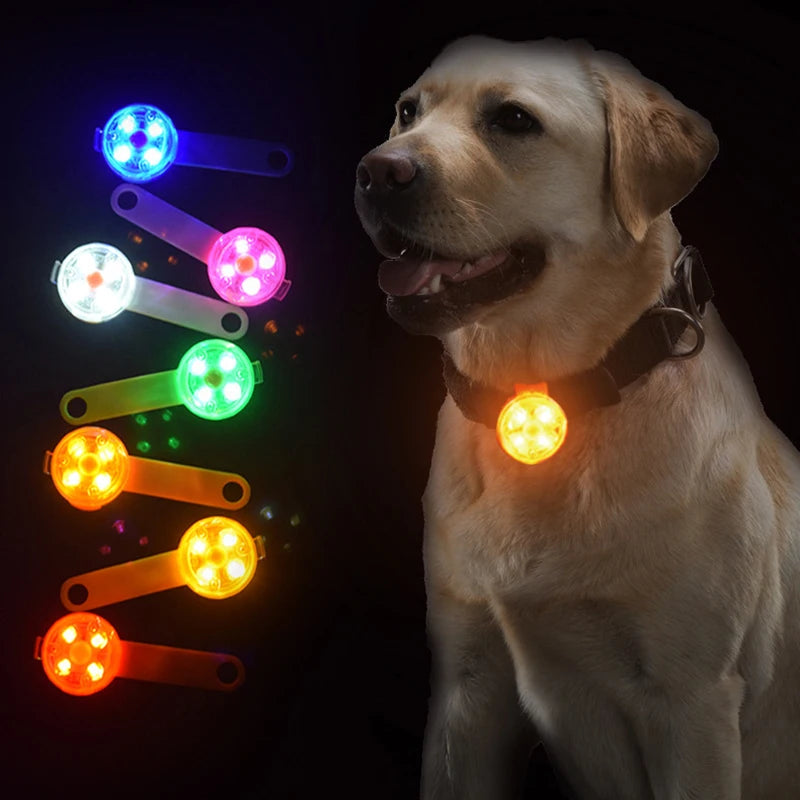 USB LED Sicherheitsanhänger für Hund & Katze – wiederaufladbar, wetterfest & leicht