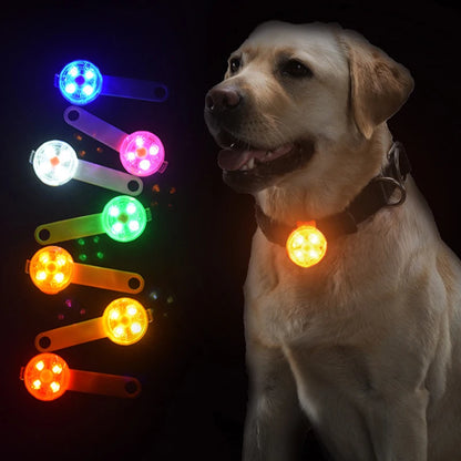 USB LED Sicherheitsanhänger für Hund & Katze – wiederaufladbar, wetterfest & leicht