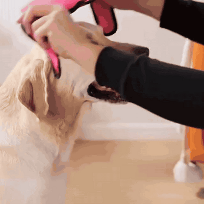 Hunde-Ohrenschutz mit Geräuschdämpfung