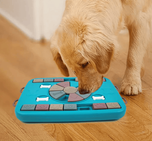 Hunde IQ Spiel & Langsamer Feeder - Stressfrei füttern & schlauer werden