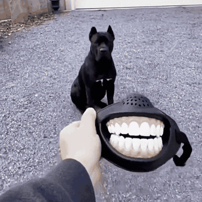 Lustiger Hunde-Maulkorb mit Grinsezähnen