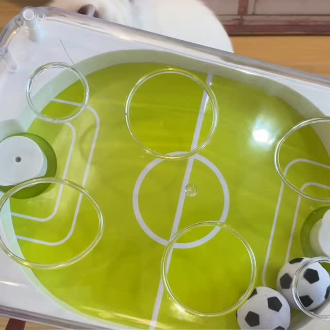 Interaktives Katzen Fußballspiel mit LED