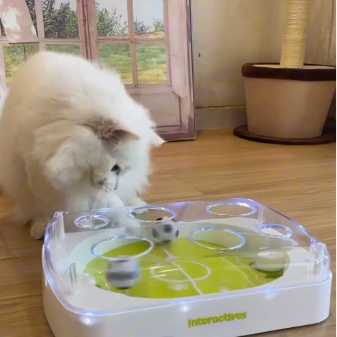 Interaktives Katzen Fußballspiel mit LED