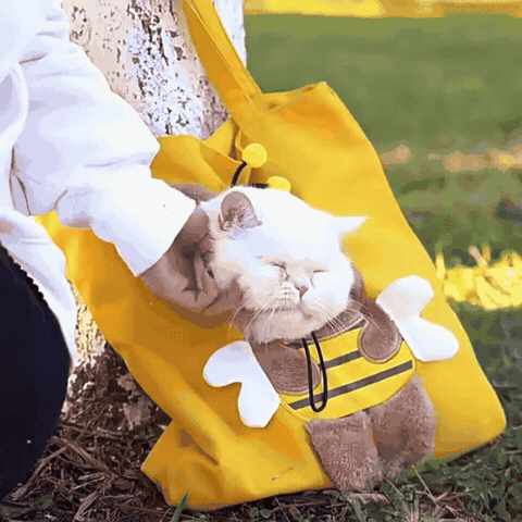 Tragetasche für Katzen & kleine Hunde mit Tiermotiven