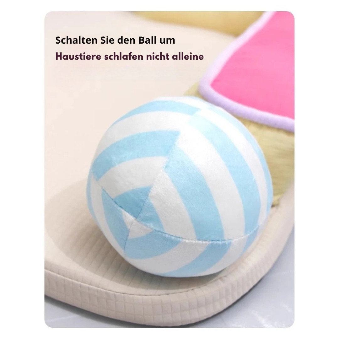 Komfortable Haustiermatte – Atmungsaktiv, Stylisch & Leicht zu Reinigen