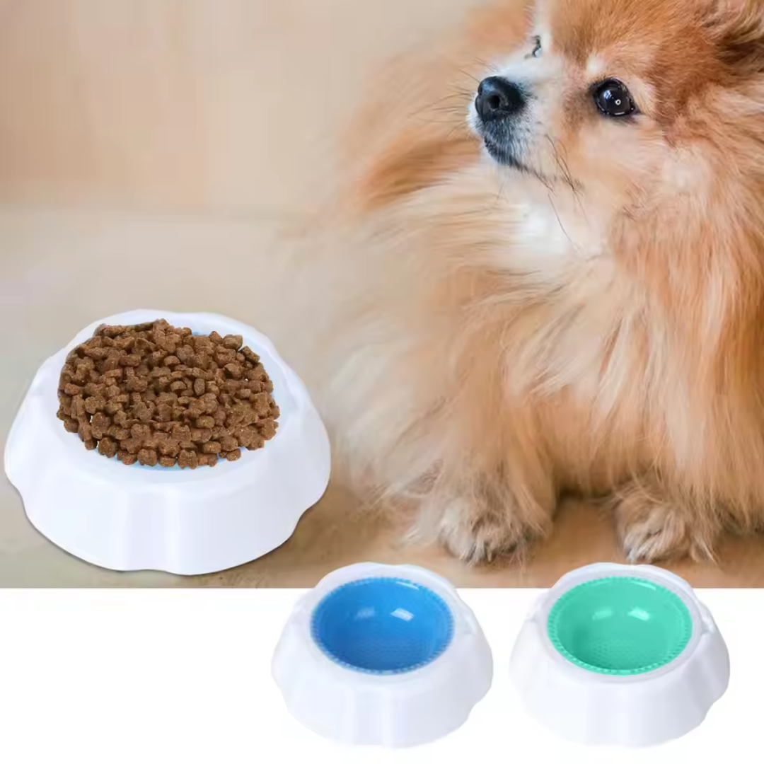 Kühlschale: Kühlender Futter- und Wassernapf für Haustiere