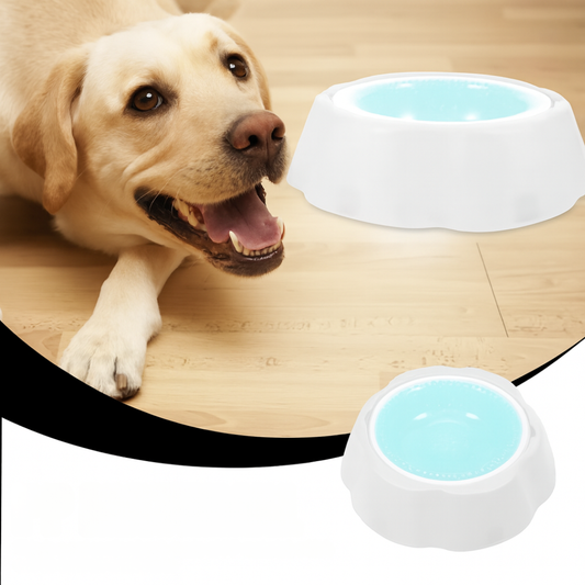 Kühlschale: Kühlender Futter- und Wassernapf für Haustiere